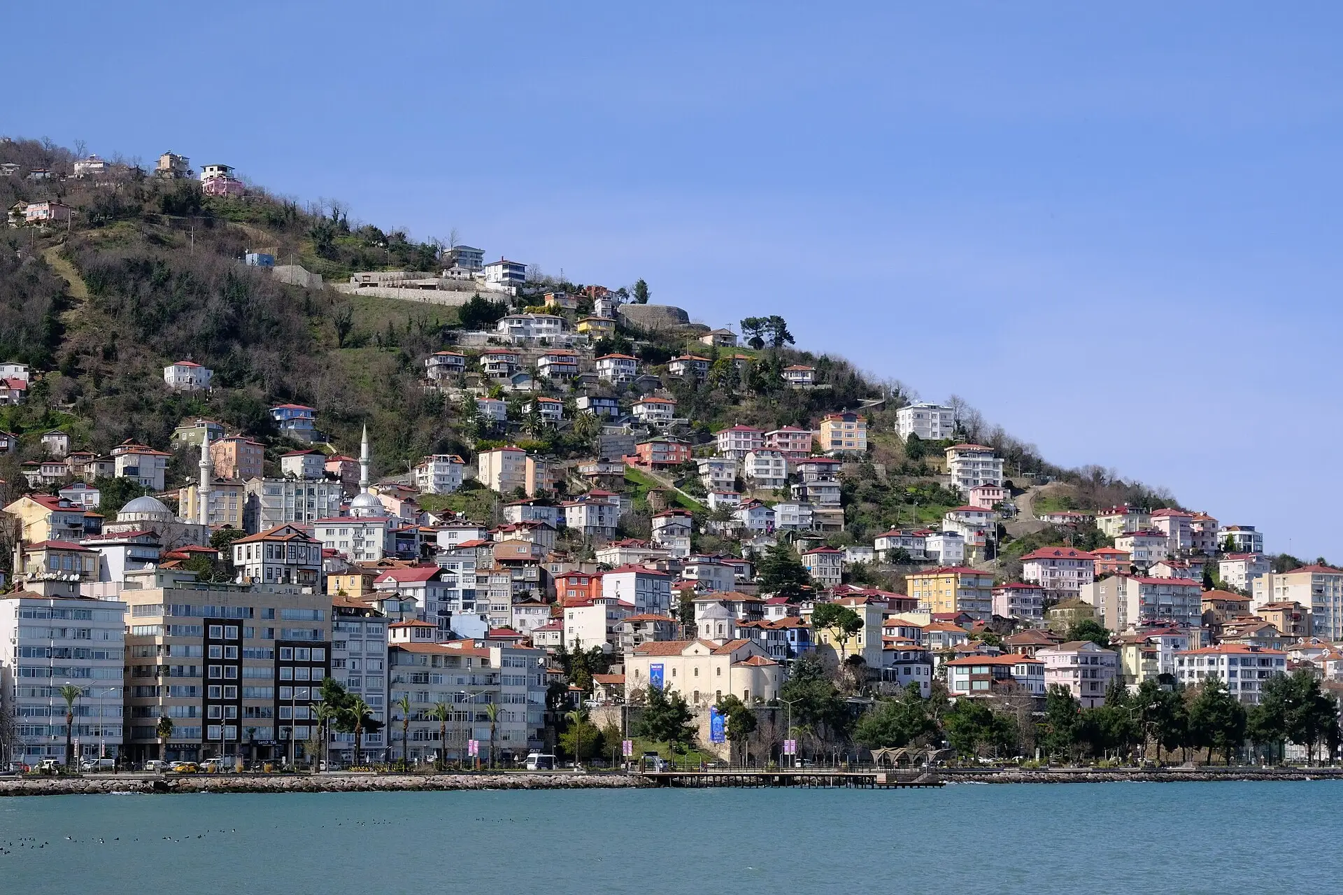 Ordu sahili